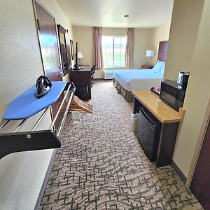King Room Roll Shower Disability Access