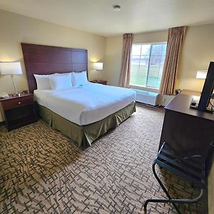 King Room Non-Smoking